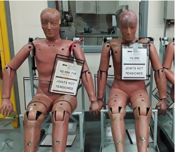2 crash test dummies seated on chairs inside the crash dynamics lab. Tags hang from each one with informationon them.